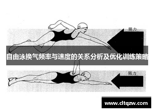 自由泳换气频率与速度的关系分析及优化训练策略